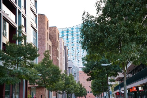AZ7_4952.jpg