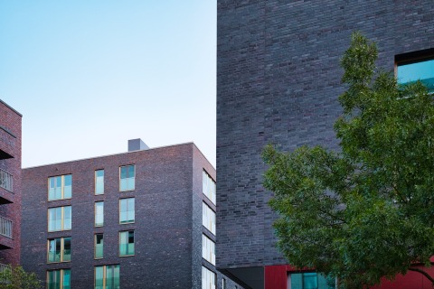 AZ7_4957.jpg
